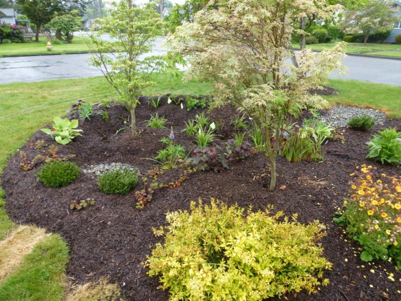 mulch rain